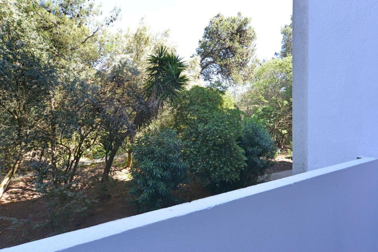 Tropical View Cascais - Checkinhome Exterior foto